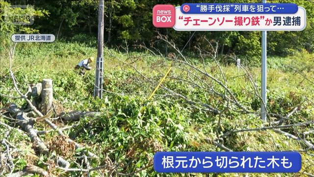“チェーンソー撮り鉄”か　男逮捕　ノロッコ号狙い「良い写真を撮るため木を切った」
