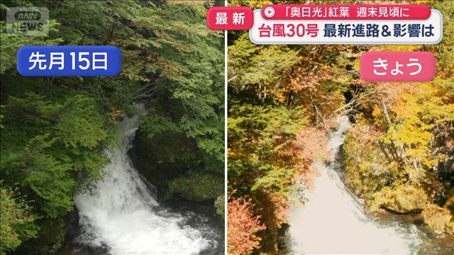 「奥日光」紅葉　週末見頃に　台風30号 最新進路＆影響は