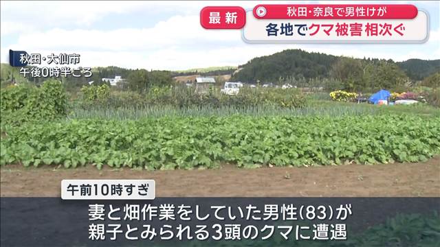 クマ被害 各地で相次ぐ　秋田と奈良で男性けが