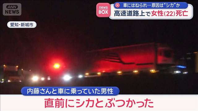 車にはねられ…原因は“シカ”か　高速道路上で女性（22）死亡