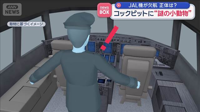 JAL機が欠航　正体は？ コックピットに“謎の小動物”