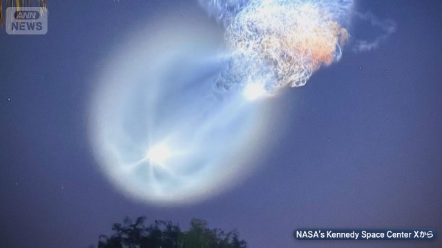 夜空の“不思議な光”正体は「宇宙クラゲ」 “未確認空中現象”相次ぐ中　アメリカ