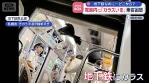 000542456_640