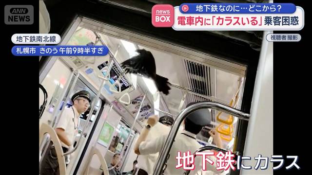 地下鉄なのに…どこから? 電車内に「カラスいる」乗客困惑