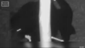 000542811_640