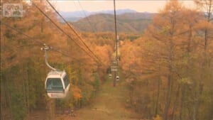 000542819_640