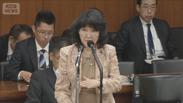 減税に伴う支援金給付は「来年秋ごろ」片山大臣　民主改革は一律4万円給付求める