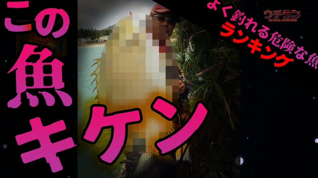 #25.よく釣れる沖縄の危険な魚ランキング☆