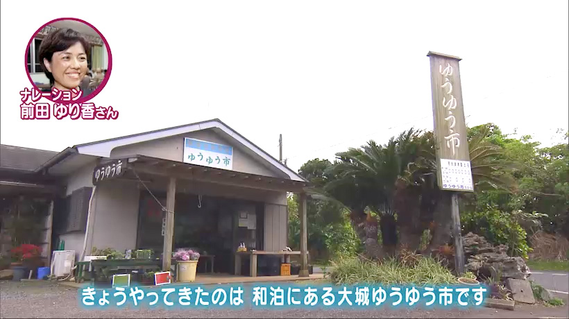 めーにち しまくとぅば #54 「沖永良部の言葉」