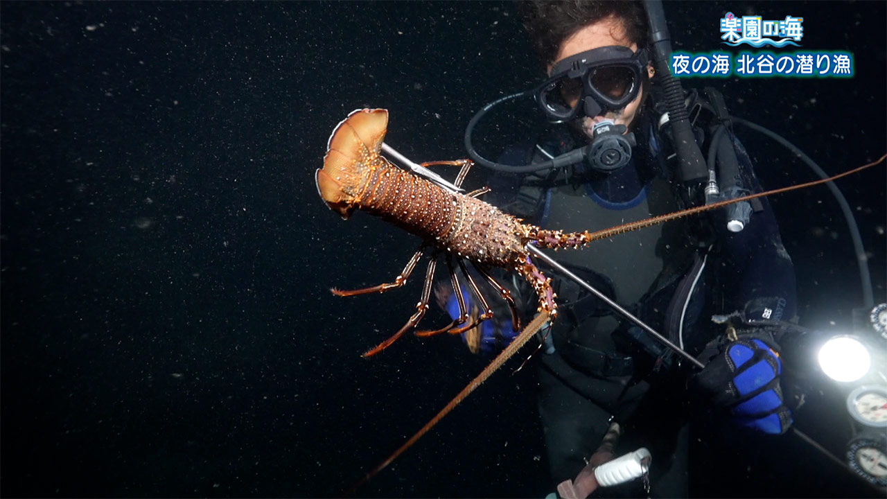 楽園の海「夜の海 北谷の潜り漁」 – Quebee キュエビー