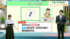 今週の青果通信／ビジネスキャッチー