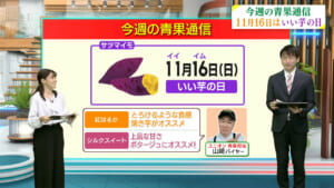 今週の青果通信／ビジネスキャッチー