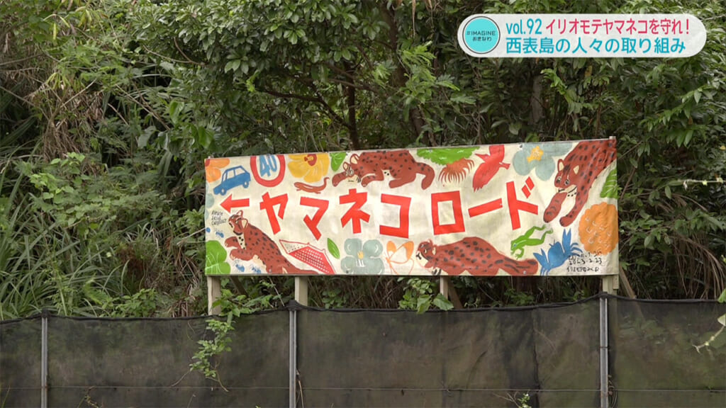 ＃IMAGINEおきなわ vol.92 「イリオモテヤマネコを守る取り組み