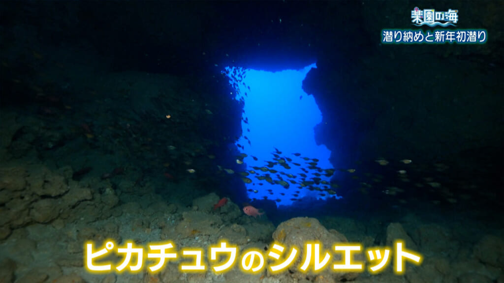 楽園の海　潜り納めと新年初潜り