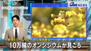 26-05-18-jp-1