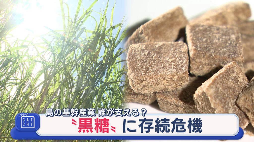 離島の“黒糖”に存続危機　島の基幹産業　誰が支える？　