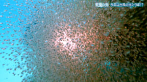 26-08-14-rk01-001