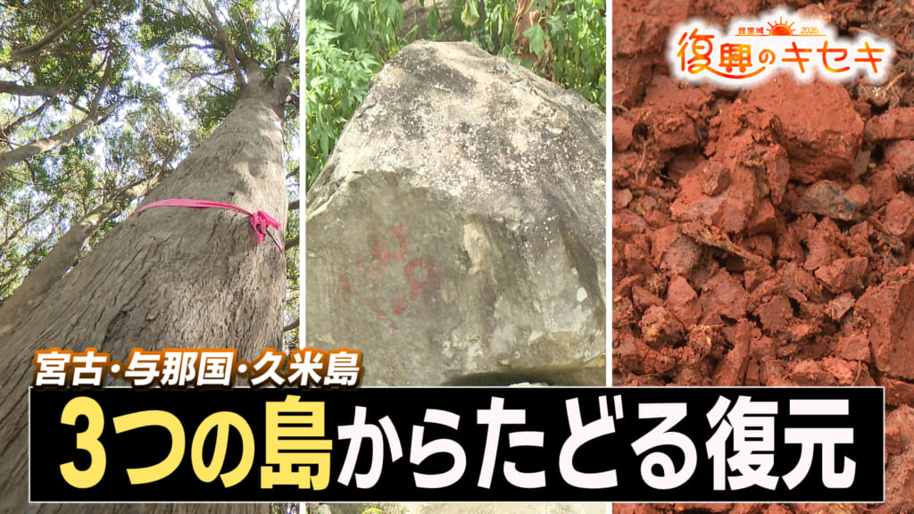 木・石・３つの島からたどる復元