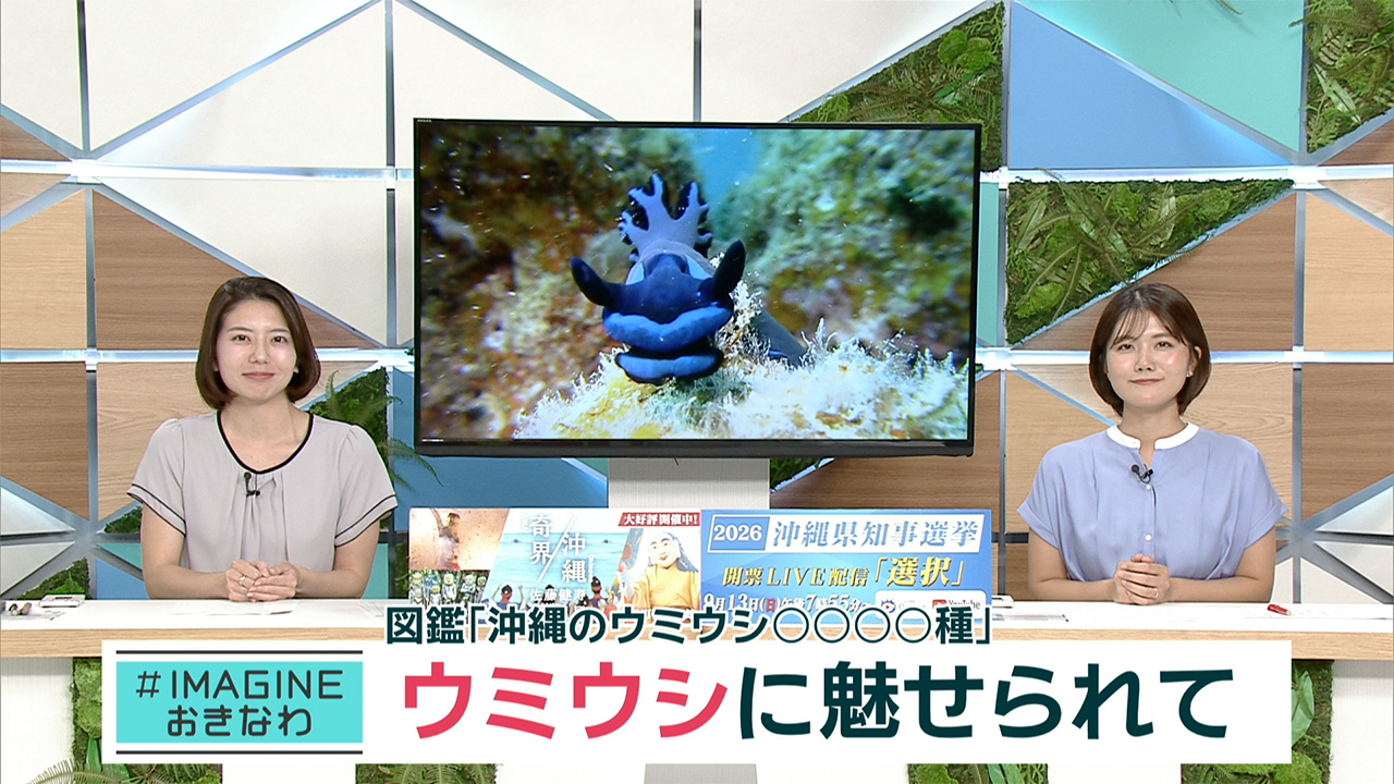 うみうみ様確認用 IMAGINEおきなわ vol.103 「出た！図鑑 沖縄のウミウシ1089種