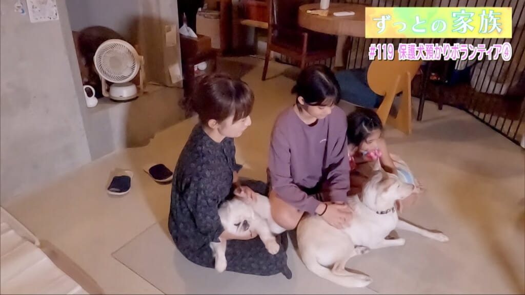 ずっとの家族「保護犬預かりボランティア (4) 」