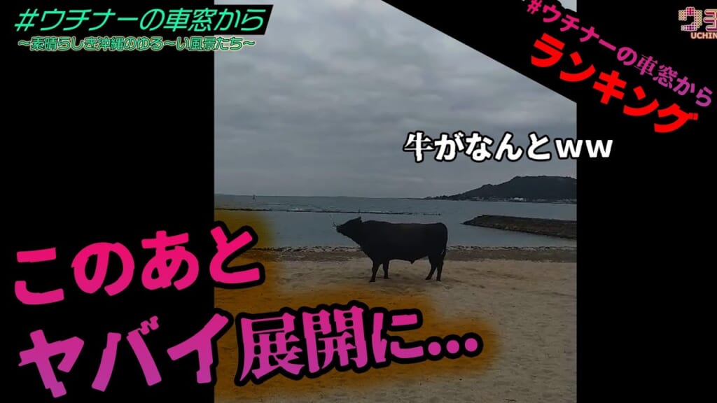 #35.#ウチナーの車窓から特別版ランキング☆