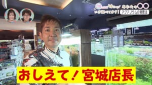 いま調べてます!「アクアリウムの管理法」