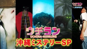 西表島に潜む未確認生物の謎に挑む…沖縄ミステリーランキングSP★