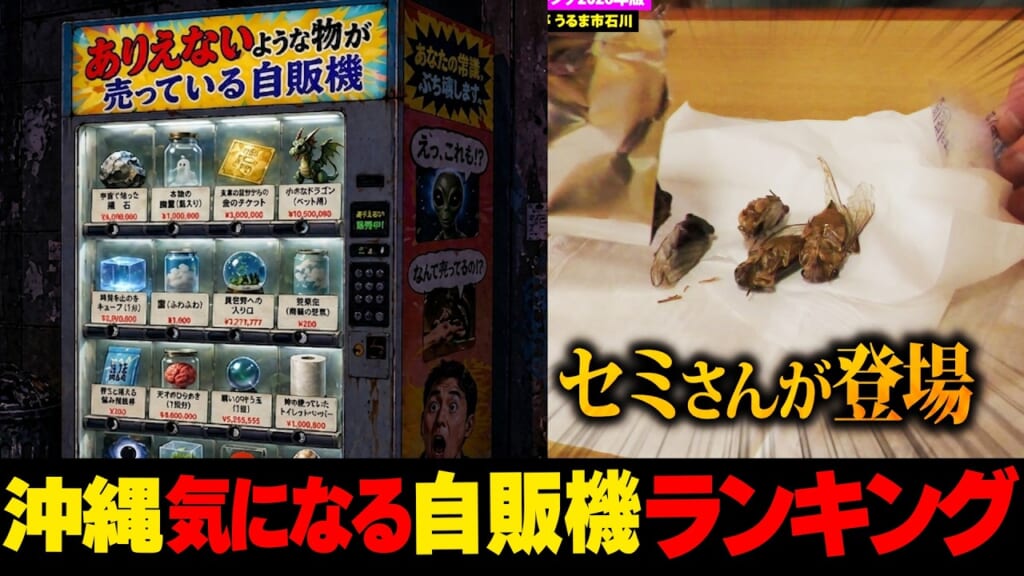 え！こんなものまで？…沖縄気になる自販機ランキング2026 ☆