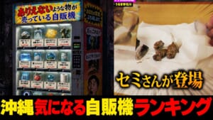 え！こんなものまで？…沖縄気になる自販機ランキング2026 ☆