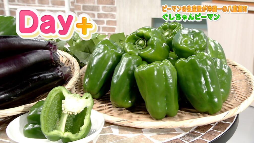 Day+ ぐしちゃんピーマン