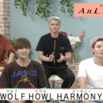 WOLF HOWL HARMONY