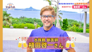 水族館 獣医師 植田啓一 さん