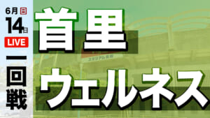 首里 対 ウェルネス