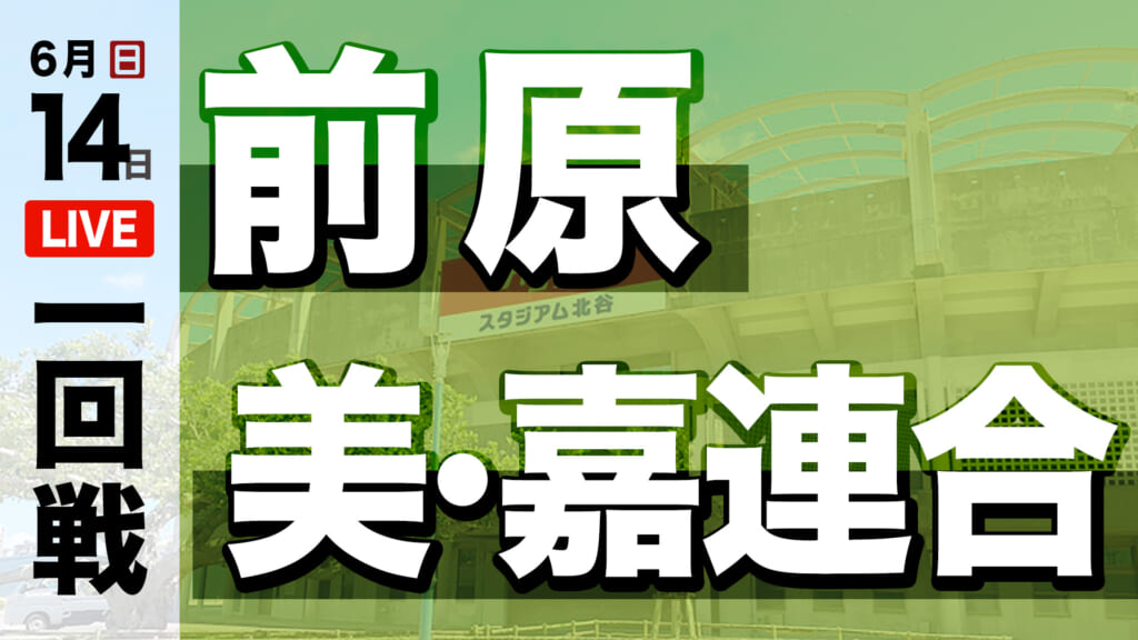 前原 対 美・嘉連合