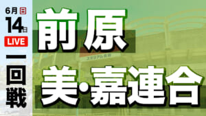 前原 対 美・嘉連合