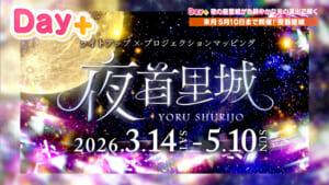 夜の首里城が色鮮やかな光の演出で輝く