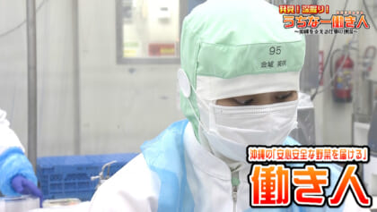 グリーンフィールド沖縄 株式会社