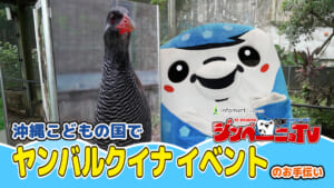第37回 沖縄こどもの国でヤンバルクイナイベントのお手伝い
