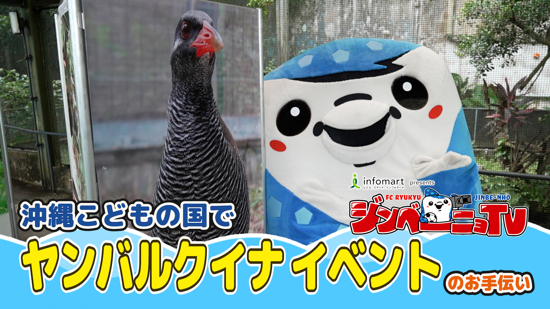 第37回 沖縄こどもの国でヤンバルクイナイベントのお手伝い