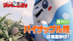 第64回 東村のパイナップル畑にお出かけ！パインアイスを東村の子どもたちと試食！
