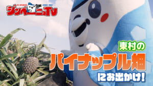 第64回 東村のパイナップル畑にお出かけ!パインアイスを東村の子どもたちと試食!