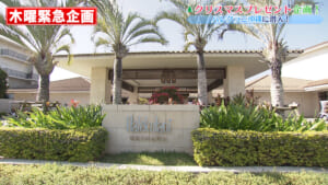 ハレクラニ沖縄に潜入！