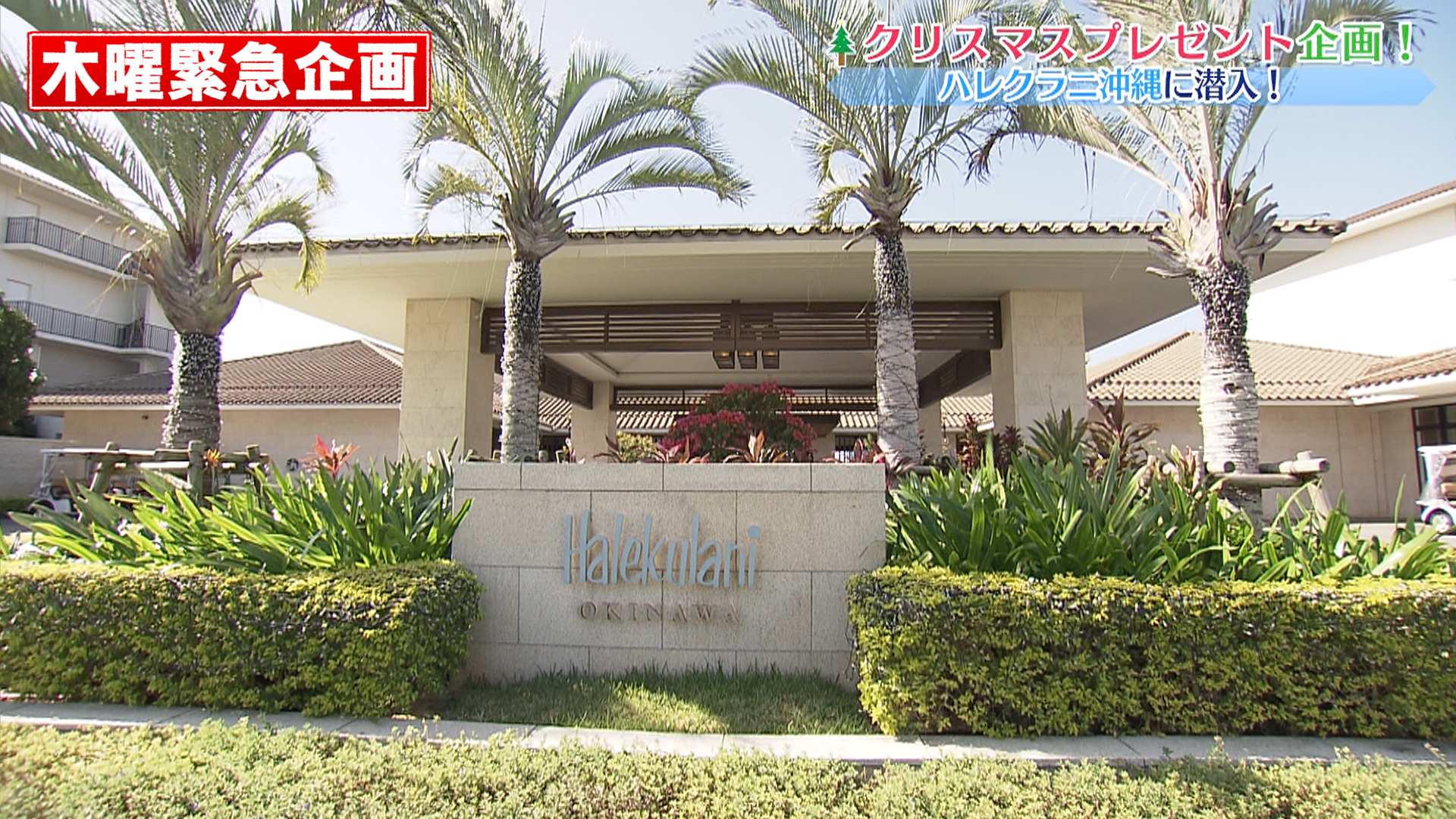 ハレクラニ沖縄に潜入！