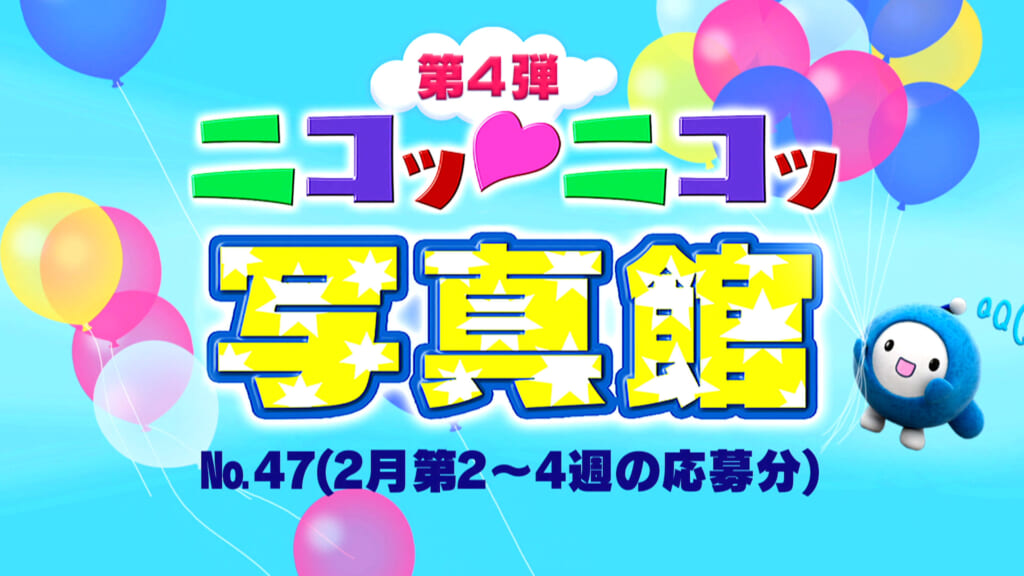 No.47「2月第2～4週の応募分」