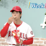1 Week Shohei「5月28日〜5月31日」
