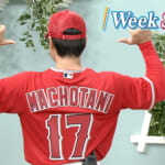 1 Week Shohei「6月1日〜6月5日」