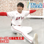 1 Week Shohei「6月11日〜6月12日」