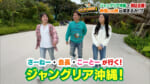 #19「ジャングリア沖縄」の魅力を大調査！