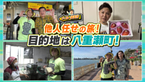 #24 名護から八重瀬町へ!ヒッチハイク無一文の旅!