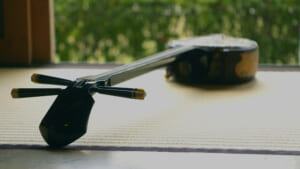 首里城(4) 意外な楽しみ方